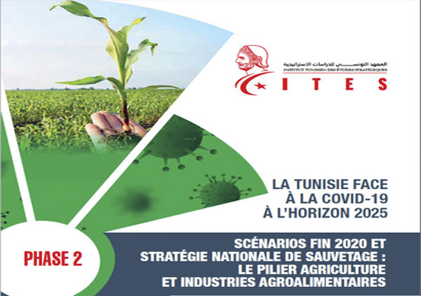 ITES: scénarios à fin 2020 et stratégie nationale de sauvetage pour l’agriculture et les industries agroalimentaires